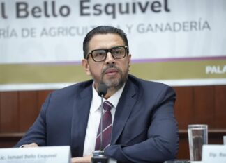 Ismael Bello Esquivel detalla avances y retos del campo sinaloense ante el Congreso