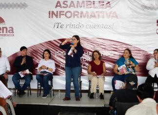 Senado propone reducción gradual de jornada laboral a 40 horas iniciaría en 2027: Imelda Castro