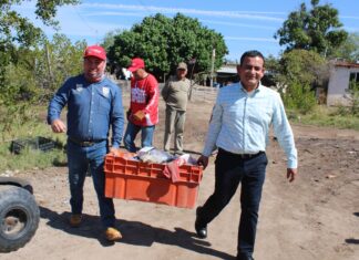 Navolato arranca jornada contra el dengue con liderazgo local