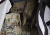 Ejército detiene a hombre con más de 700 mil dólares en efectivo durante operativo en Culiacán