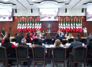 Sinaloa avanza con licencias permanentes para automovilistas