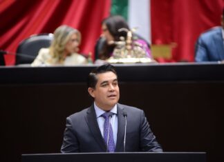 Que se castigue el trabajo infantil: Ricardo Madrid Pérez