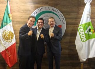 Verde en ascenso: triplica su fuerza y acecha el poder en Sinaloa