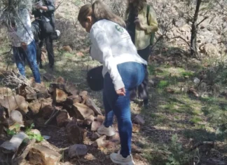 La tregua que nunca llegó: Ceci Flores halla los restos de su hijo tras años de rastreo