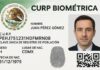 Así será físicamente la CURP Biométrica