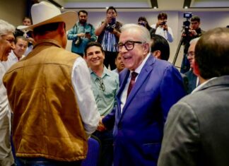 Rocha asegura maíz sinaloense: 80% de la cosecha ya vendida antes de cosechar