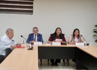 Choferes de camiones bajo lupa: Congreso obliga curso antiviolencia