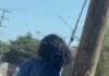 El enjambre que paralizó a una mujer: 200 picaduras ponen a prueba la resistencia de una sinaloense