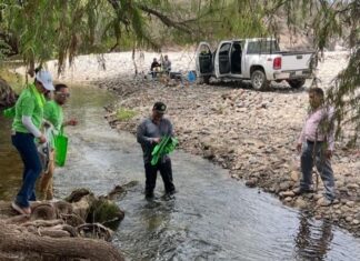 Partido Verde barre 130 km de playas sinaloenses en Semana Santa