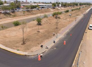 Culiacán pisa fuerte: banquetas nuevas y corredor verde revitalizan el Eje Federalismo