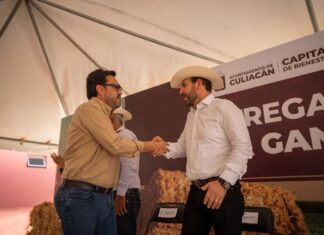 Gámez Mendivil duplica la jugada: 1.2 mdp en pacas para 700 ganaderos