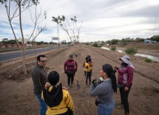 De foco de infección a refugio verde; así se ganan espacios para la ciudadanía en Culiacán