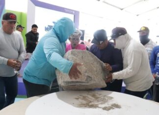 El colectivo AquíNo dobla a Mexinol: la primera piedra se queda en el saco en Topolobampo
