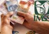 Pensión IMSS 60 y más, ¿bajo qué ley te jubilas?