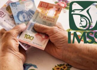 Pensión IMSS 60 y más, ¿bajo qué ley te jubilas?