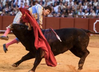 La Maestranza en silencio: Roca Rey demuestra por qué es el torero de los retos imposibles