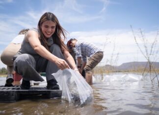 Culiacán liberará 2.3 millones de alevines para fortalecer pesca en embalses