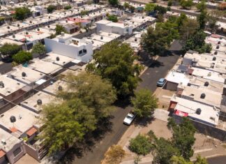 Reencarpetan calles del sector Capistrano para mejorar movilidad en Culiacán