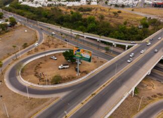 Culiacán renueva vialidades con reubicación de palmas e instalación de iluminación