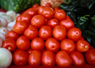 Crisis en la cocina: El jitomate de 80 pesos no bajará de precio hasta el verano