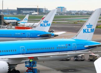 Alerta en Ámsterdam: Hospitalizan a azafata de KLM por posible contagio de hantavirus