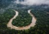 Amazonas en alerta: degradación forestal supera por el doble a la deforestación total en Brasil