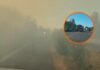 Caos en la México 15: Incendio de maleza y “mega bache” paralizan el tráfico cerca de Pericos