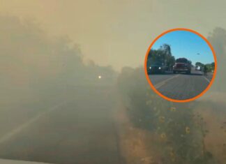 Caos en la México 15: Incendio de maleza y “mega bache” paralizan el tráfico cerca de Pericos