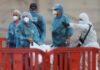Alerta global: Confirmados nuevos casos de hantavirus en pasajeros del crucero MV Hondius