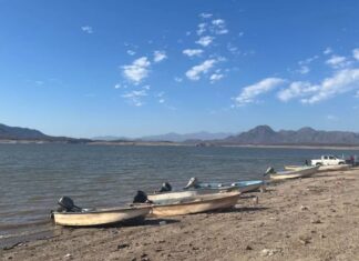 Sinaloa se seca: Presas caen por debajo del 16% y la crisis hídrica se agudiza