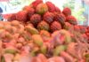 La fruta más esperada del año llega a Zapopan: 120 comerciantes reactivan la temporada de la pitaya