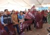 De la gubernatura a su terruño: Yeraldine Bonilla activa obras viales en su comunidad natal