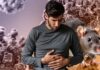 Alerta global sin contagios locales: México blinda sus hospitales por brote de hantavirus en crucero