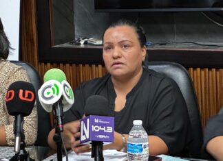 Golpe al control masculino: Aprueban reforma que obliga a la paridad y veta a violentadores en la policía