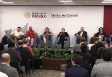 Portazo a Royal Caribbean: Semarnat sepulta el megaparque “Perfect Day” tras presión de 4 millones de firmas