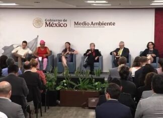Portazo a Royal Caribbean: Semarnat sepulta el megaparque “Perfect Day” tras presión de 4 millones de firmas