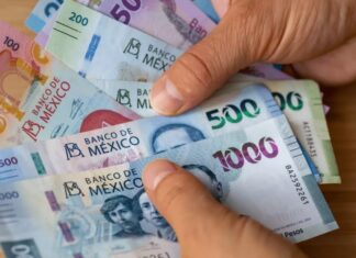 Plazos límite y condiciones: Lo que exige la ley para cobrar el reparto de utilidades 2026 en México
