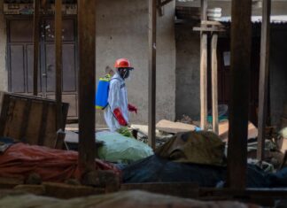 Restricciones extremas en EE. UU.: Negarán la entrada a residentes con ‘green card’ por brote de ébola