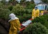 Uganda desafía a la OMS y blinda su frontera por brote de ébola sin vacuna ni tratamiento específico