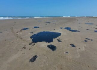 Cerco a Pemex: Greenpeace denuncia derrame en el Golfo y exige investigar a Víctor Rodríguez