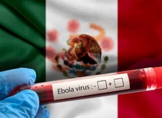 México eleva a nivel alto la alerta sanitaria por ébola a dos semanas del Mundial pero expertos descartan epidemia local