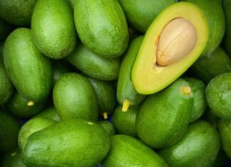 El aguacate perfila los 100 pesos por kilo: exportación hacia EE. UU. por el Mundial asfixia el bolsillo local