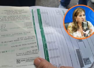 Tere Guerra ve posible solución a altos cobros de luz tras apertura de CFE