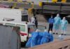Hantavirus en alta mar: el brote mortal que acecha las rutas turísticas y enciende alertas sanitarias