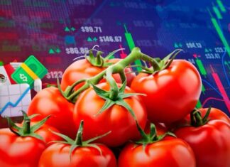 El jitomate se dispara hasta los $59 pesos y vuelve a golpear el bolsillo en México