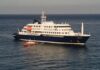 Tres muertos y alerta mundial: el brote de hantavirus que desató crisis en un crucero del Atlántico