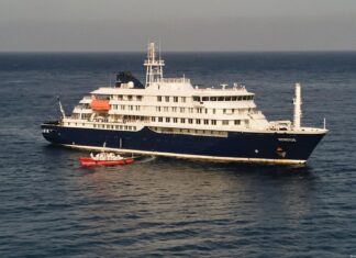 Tres muertos y alerta mundial: el brote de hantavirus que desató crisis en un crucero del Atlántico