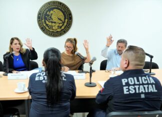 Más de 4 mil reportes de violencia familiar en Sinaloa: Congreso y Policía Estatal evalúan urgencia de frenar la revictimización