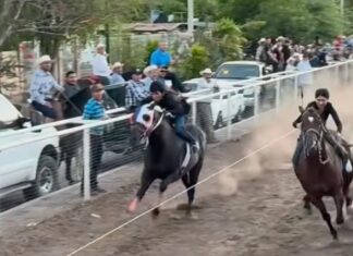 Hazaña en Mocorito: jinete de 14 años gana las carreras tradicionales sin tener caballo propio