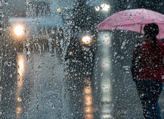 La alerta climática de Conagua para junio activa emergencia financiera: AMIS advierte vacíos catastróficos en seguros